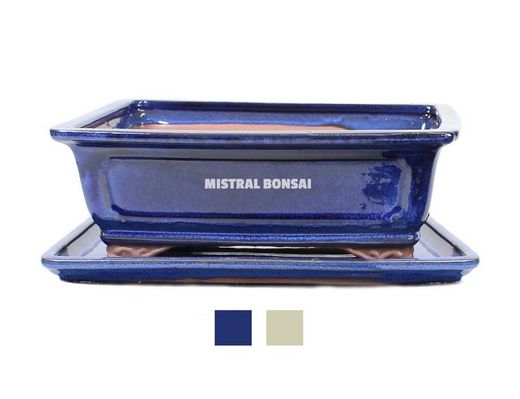Tiesto bonsai rectangular con plato 30 cm