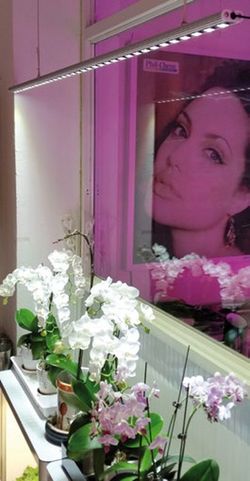 Tira de leds para las plantas naturales