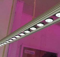 Tira de leds para las plantas naturales