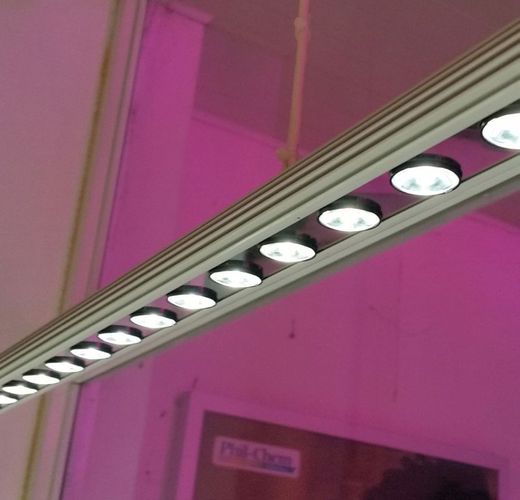 Tira de leds para las plantas naturales