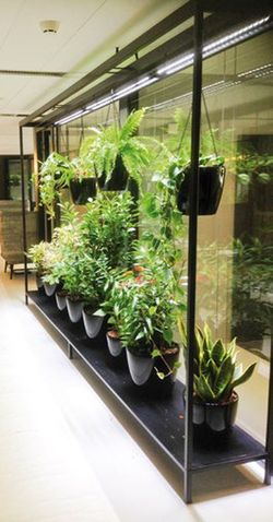 Tira de leds para las plantas naturales