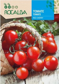 Tomato Red Cherry 0.5g