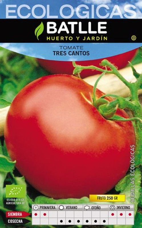 Tomate tres cantos