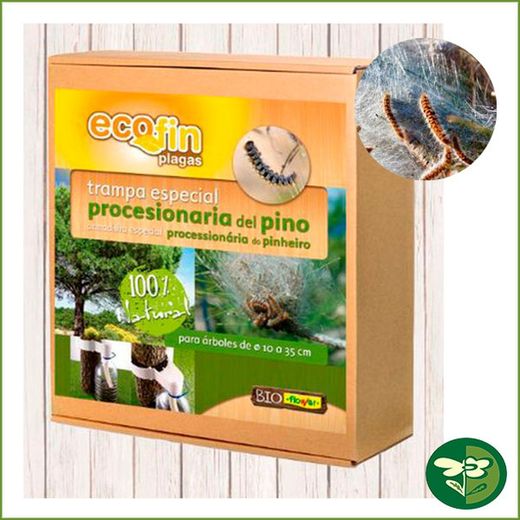 Trampa Procesionaria del Pino-fase oruga