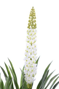 Yuca artificial en maceta 1.48m