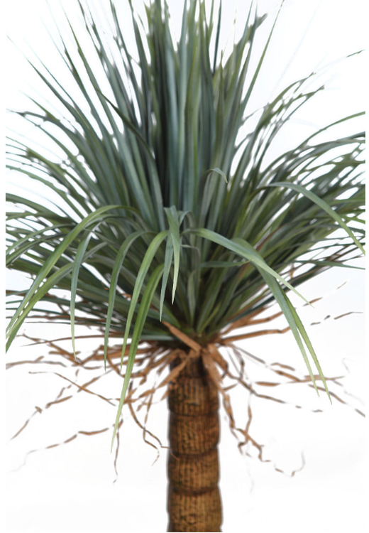 Artificial Yucca 150cm