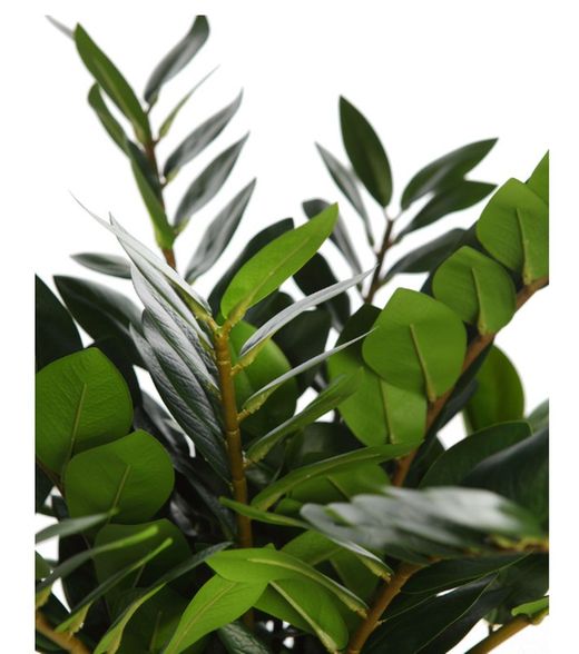 KÜNSTLICHE ZAMIOCULCAS IM TOPF 65CM